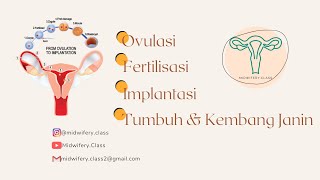 ANC2  Ovulasi Fertilisasi Implantasi dan Tumbuh Kembang Janin [upl. by Cilo13]