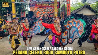 PERTAMA KALINYA❗Mas Ardy Ngepang di Rogo Samboyo Putro Gebangkerep Tarokan Kediri [upl. by Nnylesor]