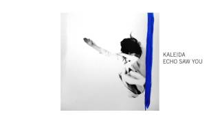 ECHO SAW YOU by KALEIDA Official Audio [upl. by Dinesh]