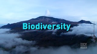 INSIDE  Biodiversity [upl. by Gora]