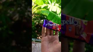 Cadbury dairy milk chocolate Crispello ahusanadirai4334 cadburycrispelloindia3806 [upl. by Ag211]