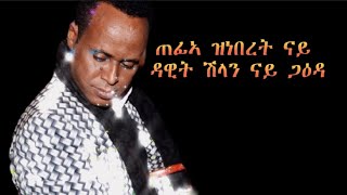 new eritrean music ዳዊት ሽላን ጋዕዳ dawit shilan gaadaeritreanmusic [upl. by Oderfodog]