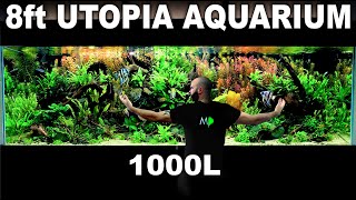 The 8ft quotUtopiaquot Aquarium EPIC 1000L Build over 300 Fish Aquascape Tutorial [upl. by Lady338]