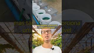 Ecologia Prática A Implementação da Aquaponia em Ambientes Educacionais aquaponia agro [upl. by Warden]