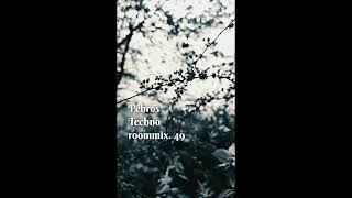 Pehros Techno Roommix 49 HypnoticDeepTechno and more [upl. by Aicilegna]