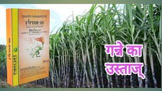 FIPTOR80 की कहानी किसान की जुबानी fipronil 40imidacloprid 40 [upl. by Center]