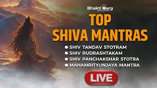 Shiva Mantras Live Stream  शिव के मंत्र लाइव  Bhakti Marg shivmantra shivtandav rudrashtakam [upl. by Nue]