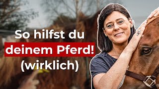 Pferde Fellwechsel Darüber spricht niemand wichtig [upl. by Eltsyek827]