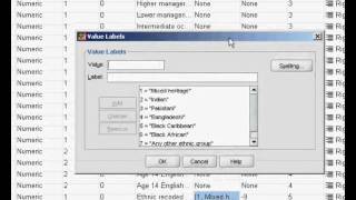 Ordinal Regression using SPSS Part 1 [upl. by Nnahgaem]