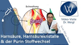 Was ist unsere Harnsäure Purinstoffwechsel Aufgaben amp Ursachen für einen erhöhten Harnsäurespiegel [upl. by Sherj690]