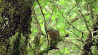 Nehalem Bay State Park [upl. by Ardnaeel560]