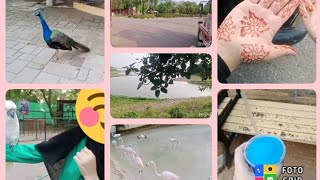 Lake View Park Islamabad Vlog 5 [upl. by Belding]