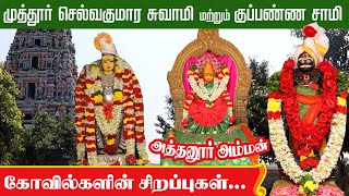 முத்தூர் செல்வகுமாரசுவாமி  அத்தனூர் அம்மன் மற்றும் குப்பண்ண சாமி கோவில் சிறப்புகள்  MUTHUR SWAMY [upl. by Chandos]