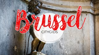 Brussel bezoeken Reisgids met wandeling Brussel  citygids [upl. by Anes]