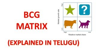 Boston Consulting Group MatrixBCG MatrixGrowth Market Share MatrixTelugu [upl. by Airotkciv]