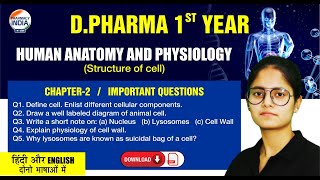 Human Anatomy amp Physiology  Chapter  2  Imp Questions amp Answers  DPharma 1 Year hap bteup [upl. by Nioe970]