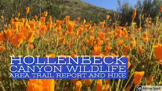 Hollenbeck Canyon Wildlife Area Trail Report and Hike [upl. by Ennyl]