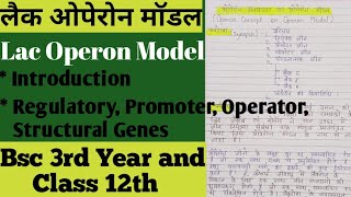 Lac Operon Model लैक ओपेरोन [upl. by Auohp]