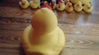 Dancing Rubber Ducks [upl. by Christophe587]