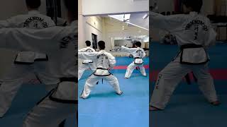 ITF TAEKWONDO PATTERN WonHyo [upl. by Nutsud]