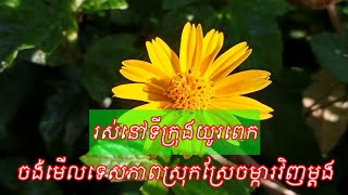 រស់នៅទីក្រុងយូរពេក ចង់មើលទេសភាពស្រុកស្រែចម្ការវិញម្ដង Bearn Bunnat [upl. by Onaled]