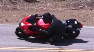 quot Busa Falconer quot on The Snake  Mulholland Hwy CA [upl. by Wsan481]