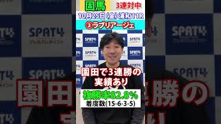 【SPAT4PP】2024･10･25 浦和競馬11R 日刊スポーツ細井記者 固馬予想 競馬 浦和競馬 競馬予想 [upl. by Langan685]