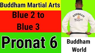 Pronat 6  Blue 2 To Blue 3 Belt Promotion  Buddham Martial Arts [upl. by Fiann33]