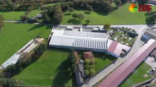 Instalación de cubierta solar fotovoltaica en Avícola Tratante  EDF Solar [upl. by Nidak]