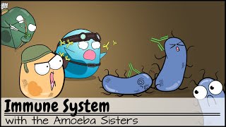 Immune System [upl. by Rosie799]