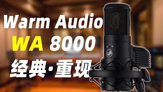 Warm Audio WA8000电子管麦克风体验 重现现代经典传奇声音 [upl. by Inor803]