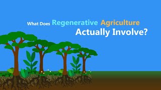 What is Regenerative Agriculture [upl. by Ertsevlis]