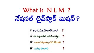 నేషనల్‌ లైవ్‌స్టాక్‌ మిషన్‌  NLM   50 లక్షల వరకు సబ్సిడీ  ఎలా దరఖాస్తు చేసుకోవాలి [upl. by Dympha]