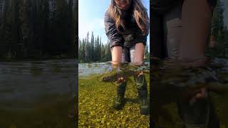 grayling flyfishinglife fishing catchandrelease [upl. by Otrebile722]