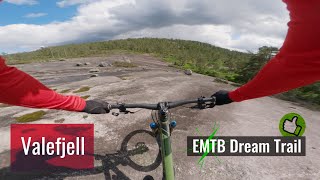 EMTB Dream  Valefjell Åmli [upl. by Ardried]