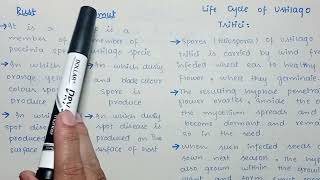 Basidiomycetes Characteristics And Its Life Cycle In Urdu Hindi  Basidiomycota [upl. by Else666]