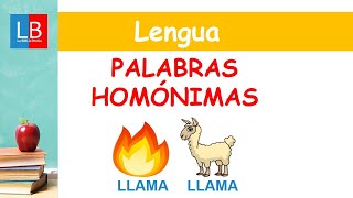 Palabras homónimas homógrafas y homófonas [upl. by Hnoj]