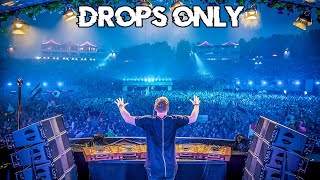 Hardwell Tomorrowland 2015 Drops Only [upl. by Eniledam372]