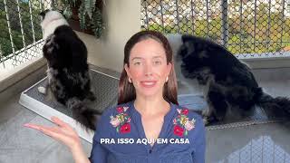 Weasy Cão A Solução Inteligente  sustentável e prática para o xixi do seu peludo [upl. by Ahsirkal]