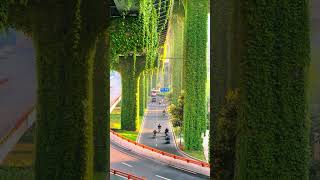 The streets in Chengdu look beautiful with the green plants 🌿covering the concrete 🛣️ [upl. by Ahsac]