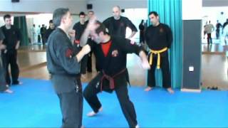 Kajukenbo Close Combat 2º Seminario Madrid 2012mpg [upl. by Nylareg]