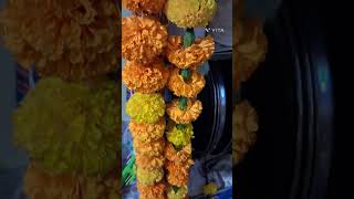 genda phool sasural genda phool [upl. by Addiel]