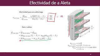 Efectividad de Aletas [upl. by Des942]