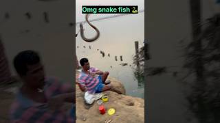 Snake 🐍 fish fishing reels [upl. by Kotto]