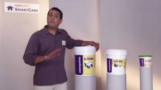 DAMP PROOF  Asian paints Smart Care Application Procedure [upl. by Haleemak640]