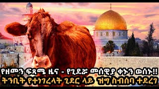 የዘመን ፍጻሜ ዜና  የጊደሯ መሰዊያ ቀኑን ወሰኑ ትንቢት የተነገረላት ጊደር ላይ ዝግ ስብሰባውን ተደረገ [upl. by Kelbee]