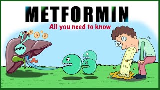 Metformin Uses Mechanism of action Side effects Contraindications [upl. by Drahnreb291]