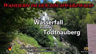 Wasserfall Rundweg  Todtnauberg  Schwarzwald  Blackforest  DE [upl. by Adams412]