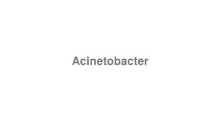 How to Pronounce quotAcinetobacterquot [upl. by Achilles]