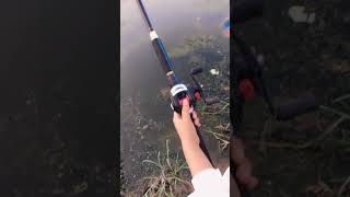 Best fishing rod for fish hunting shortvideo [upl. by Eben]